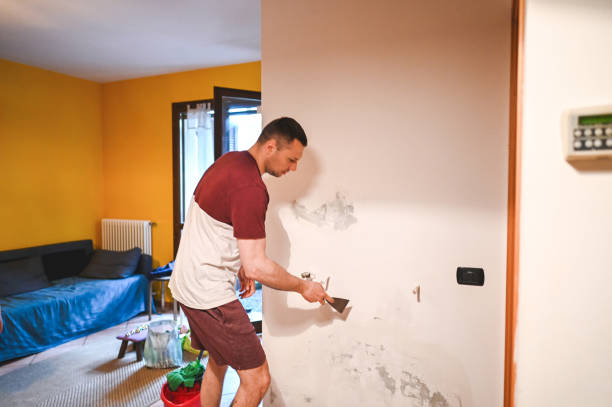 Mold Removal Process in Hoxie, AR